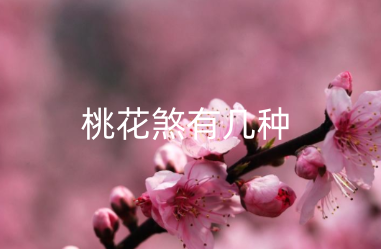 桃花煞有几种 八字如何看桃花