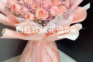 粉红玫瑰花语9朵 粉玫瑰适合送给什么人