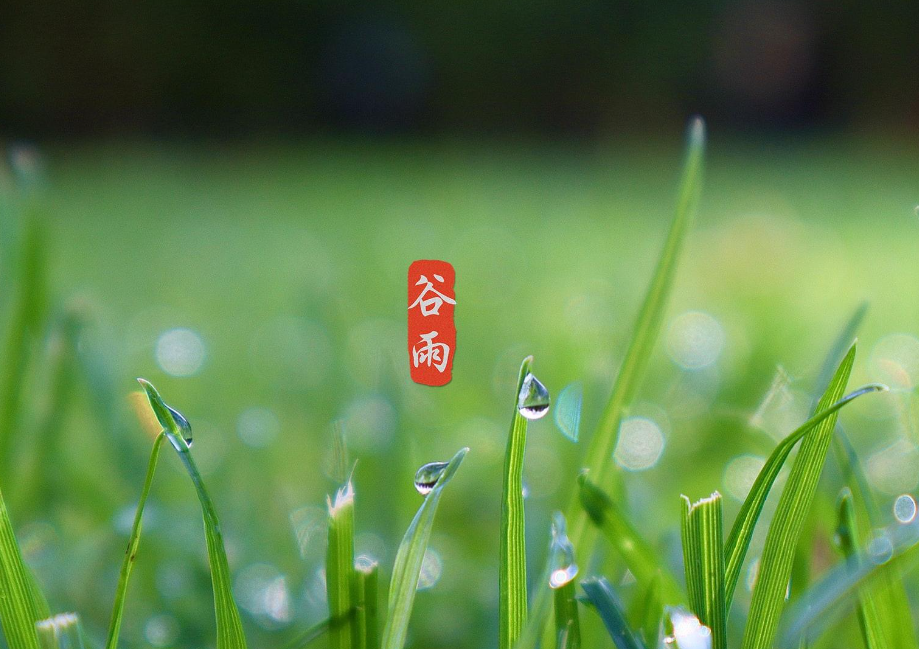 谷雨就一定会下雨吗 谷雨的寓意和象征