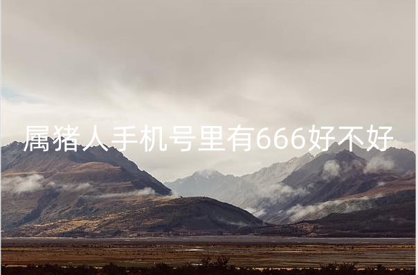 属猪人手机号里有666好不好 属猪手机号最旺财的尾数是什么