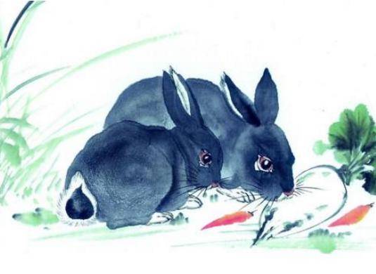 属兔的几月出生最好命 生肖兔和什么生肖最配