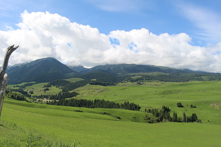 prairie-the-scenery-in-xinjiang-preview (1).jpg