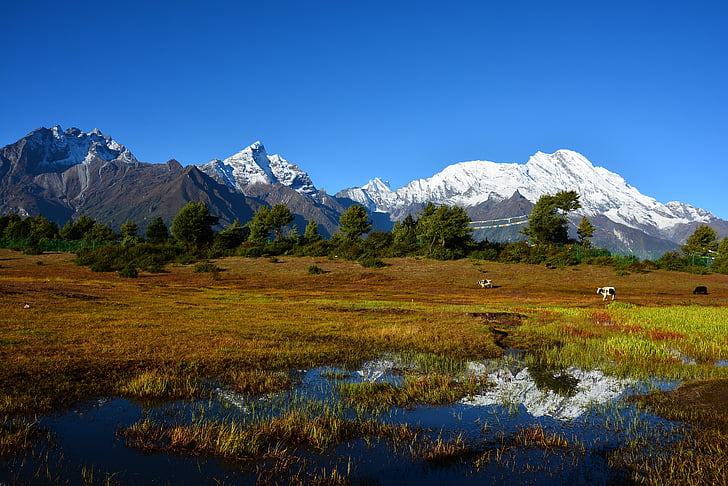 snow-mountain-sunrise-ranch-tibet-preview.jpg