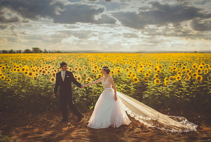 bride-couple-field-groom-preview.jpg