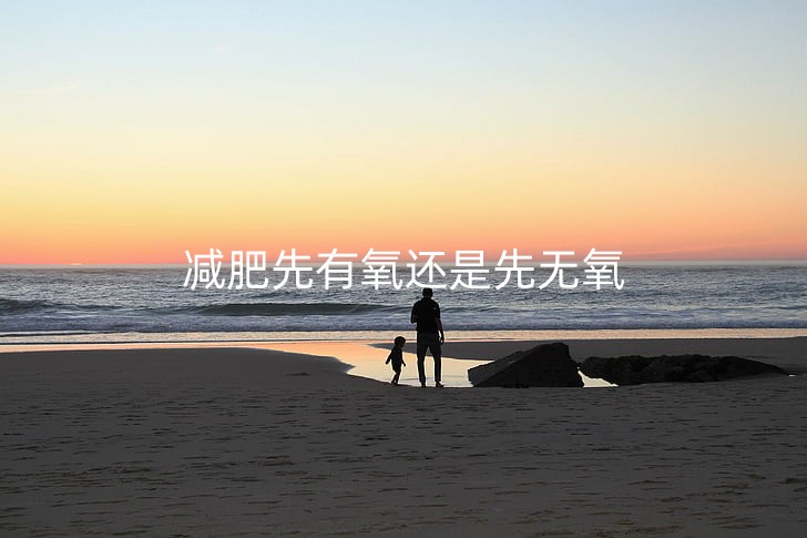 sunset-father-beach-family-preview_副本.jpg