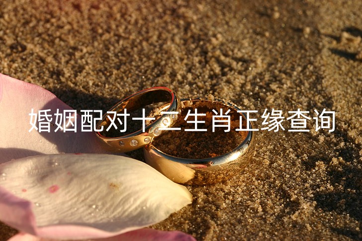 wedding-rings-gold-marriage-rings-preview_副本.jpg